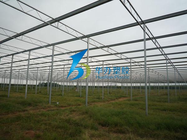 連云港東?？h雙店鎮(zhèn)溫室大棚PC陽(yáng)光板